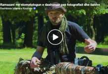 Ramazani me stomatologun e dashuruar pas fotografisë dhe ilahive