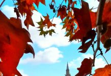 Në të gjitha xhamitë e Prishtinës u mbajt ligjëratë me temë: Muhamedi a.s. dhe Rinia