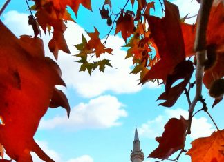 Në të gjitha xhamitë e Prishtinës u mbajt ligjëratë me temë: Muhamedi a.s. dhe Rinia