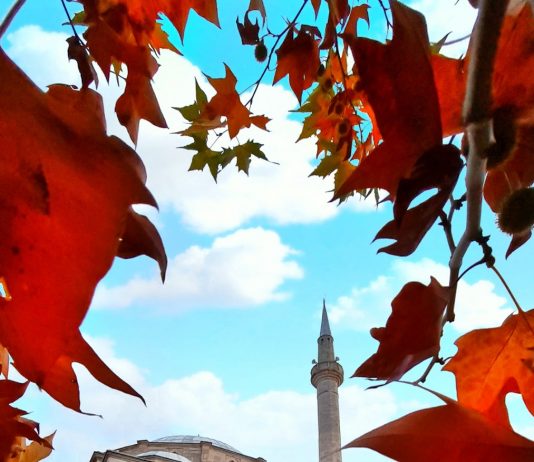 Në të gjitha xhamitë e Prishtinës u mbajt ligjëratë me temë: Muhamedi a.s. dhe Rinia